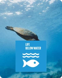 life_below_img