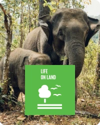 life_on_land_img